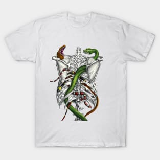 Snakes in a Cage T-Shirt